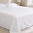 Flat Sheet