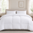 Comforter